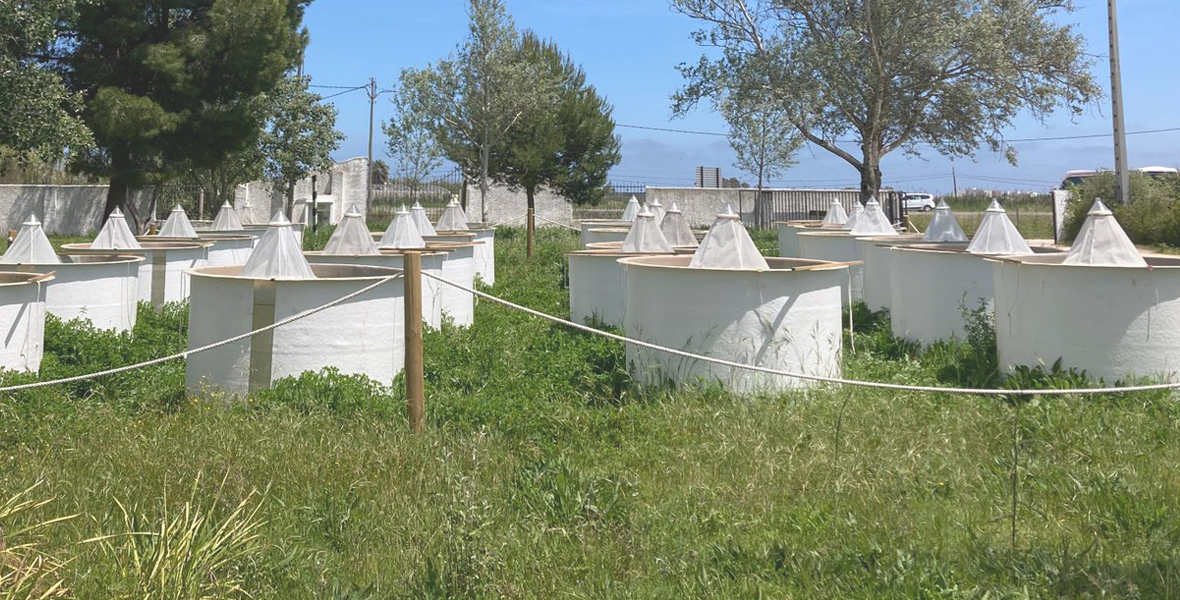 Estació Biològica Albufera: la EBA